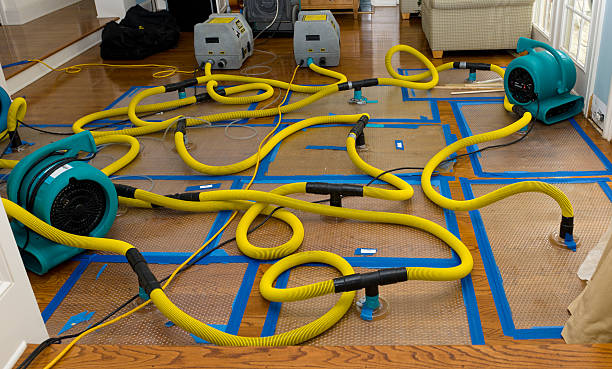 Professional Flood Damage Restoration technician working in Elwood, IL